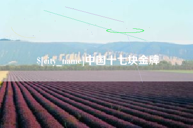 章丘中国十七块金牌