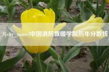 章丘中国消防救援学院历年分数线