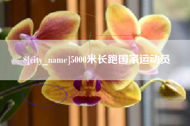 章丘5000米长跑国家运动员