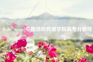 章丘中国消防救援学院高考分数线