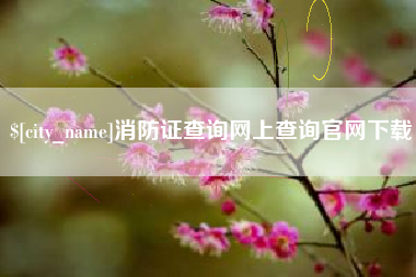 章丘消防证查询网上查询官网下载