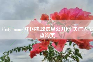 章丘中国执政信息公开网-失信人员查询页