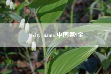 章丘中国第9金