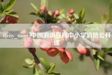 章丘中国消防官网中小学消防公开课