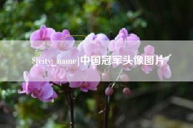 章丘中国冠军头像图片