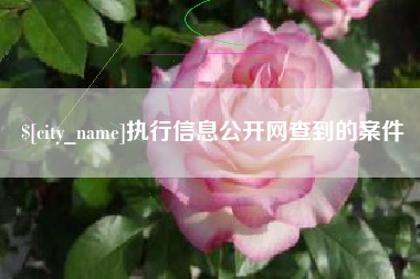 章丘执行信息公开网查到的案件