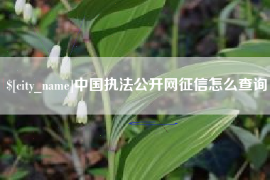 章丘中国执法公开网征信怎么查询
