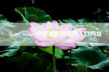 章丘中国消防网官网入口网址