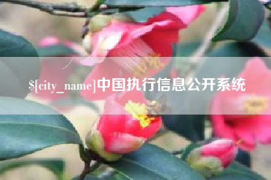 章丘中国执行信息公开系统