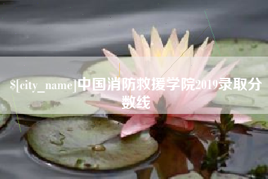 章丘中国消防救援学院2019录取分数线