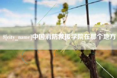 章丘中国消防救援学院在那个地方