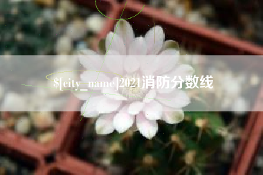 章丘2021消防分数线