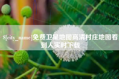 章丘免费卫星地图高清村庄地图看到人实时下载