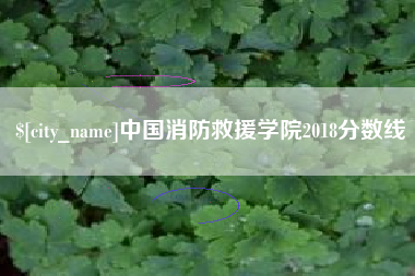 章丘中国消防救援学院2018分数线