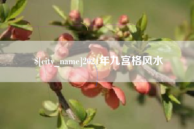 章丘2021年九宫格风水