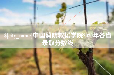 章丘中国消防救援学院2020年各省录取分数线