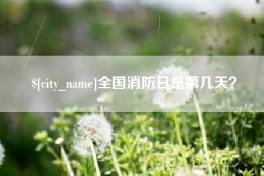 章丘全国消防日是第几天？