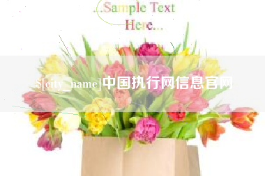 章丘中国执行网信息官网