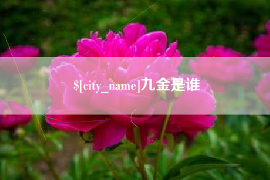 章丘九金是谁