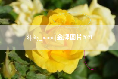 章丘金牌图片2021