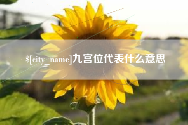 章丘九宫位代表什么意思