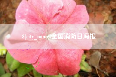 章丘全国消防日海报