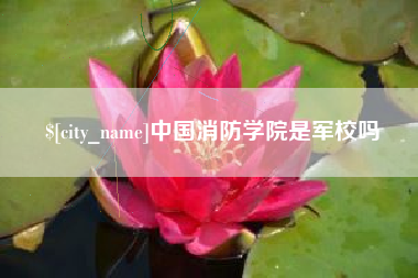 章丘中国消防学院是军校吗