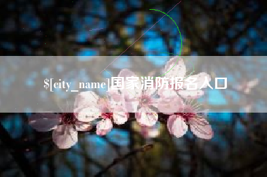 章丘国家消防报名入口