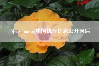 章丘中国执行信息公开网后