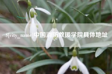 章丘中国消防救援学院具体地址