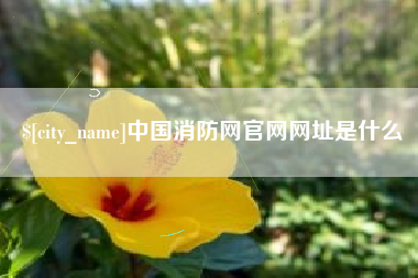章丘中国消防网官网网址是什么