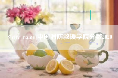 章丘中国消防救援学院分数2020