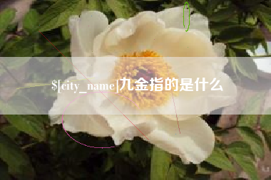 章丘九金指的是什么