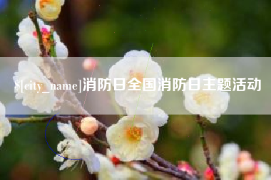 章丘消防日全国消防日主题活动