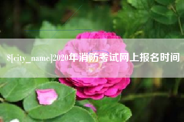 章丘2020年消防考试网上报名时间