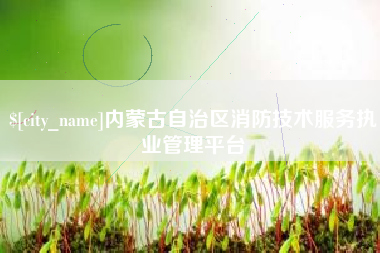 章丘内蒙古自治区消防技术服务执业管理平台