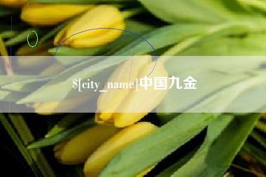 章丘中国九金