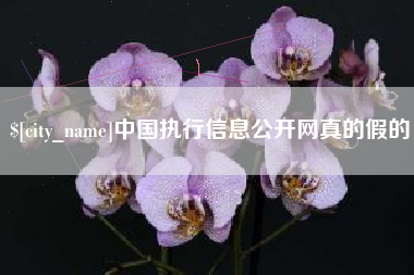章丘中国执行信息公开网真的假的