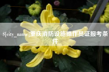 章丘重庆消防设施操作员证报考条件
