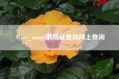 章丘消防证查询网上查询