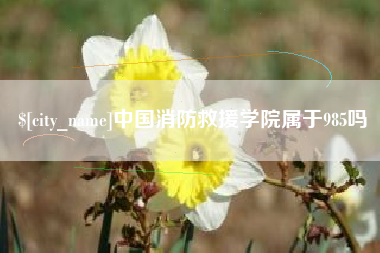 章丘中国消防救援学院属于985吗