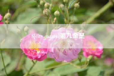 章丘第九金是