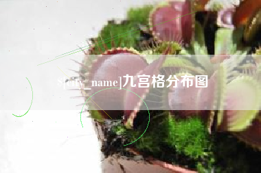 章丘九宫格分布图