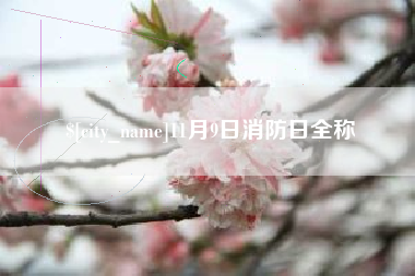 章丘11月9日消防日全称