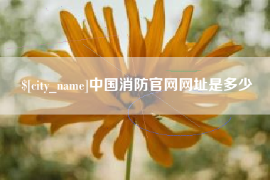 章丘中国消防官网网址是多少