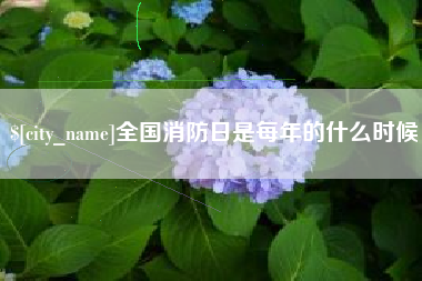 章丘全国消防日是每年的什么时候