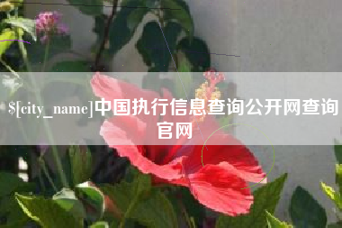 章丘中国执行信息查询公开网查询官网