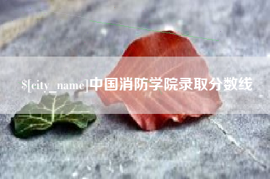 章丘中国消防学院录取分数线