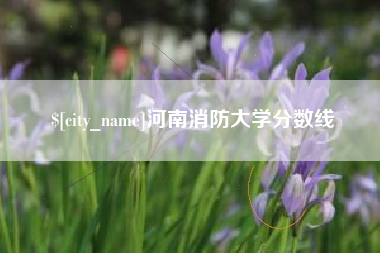 章丘河南消防大学分数线