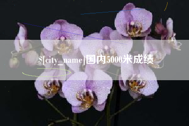 章丘国内5000米成绩